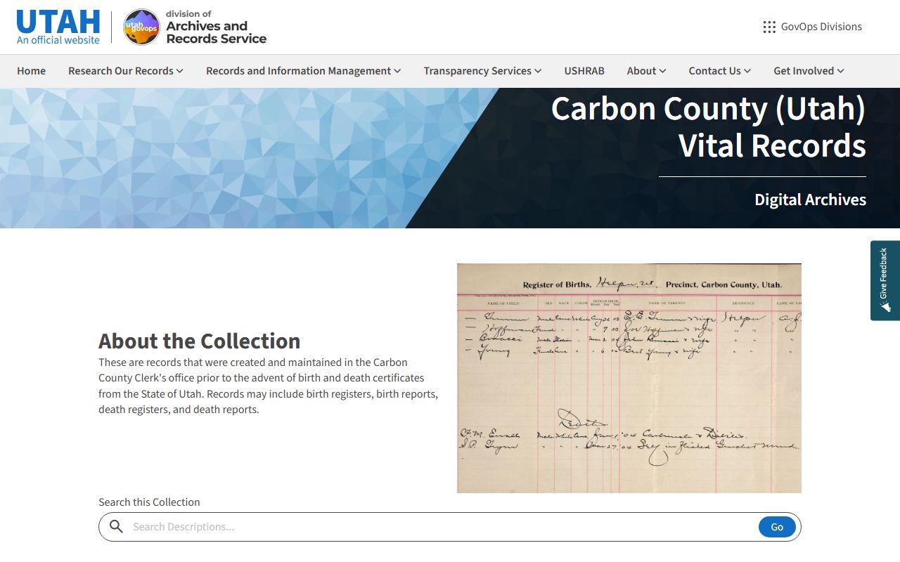 Carbon County State Archives marriage license records